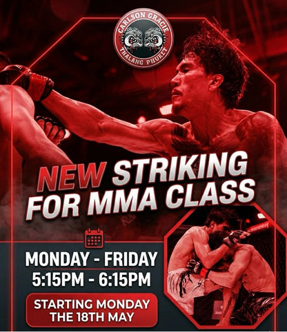 MMA ALL LEVELS & STRIKING
