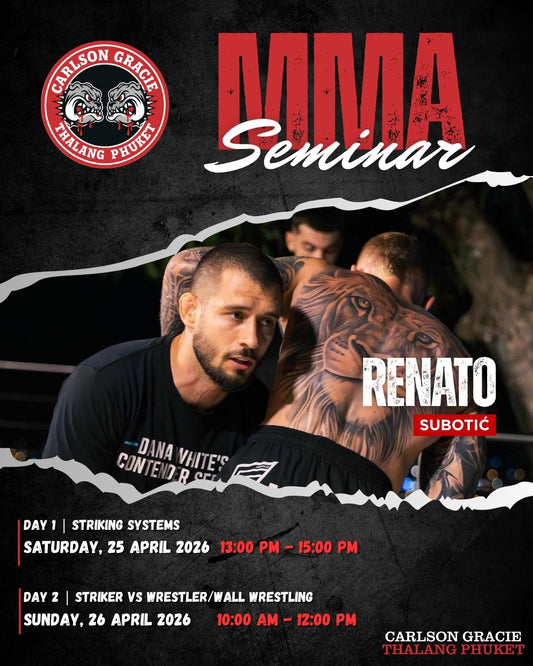MMA Seminar | Renato Subotic