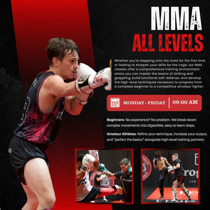 MMA ALL LEVELS & STRIKING